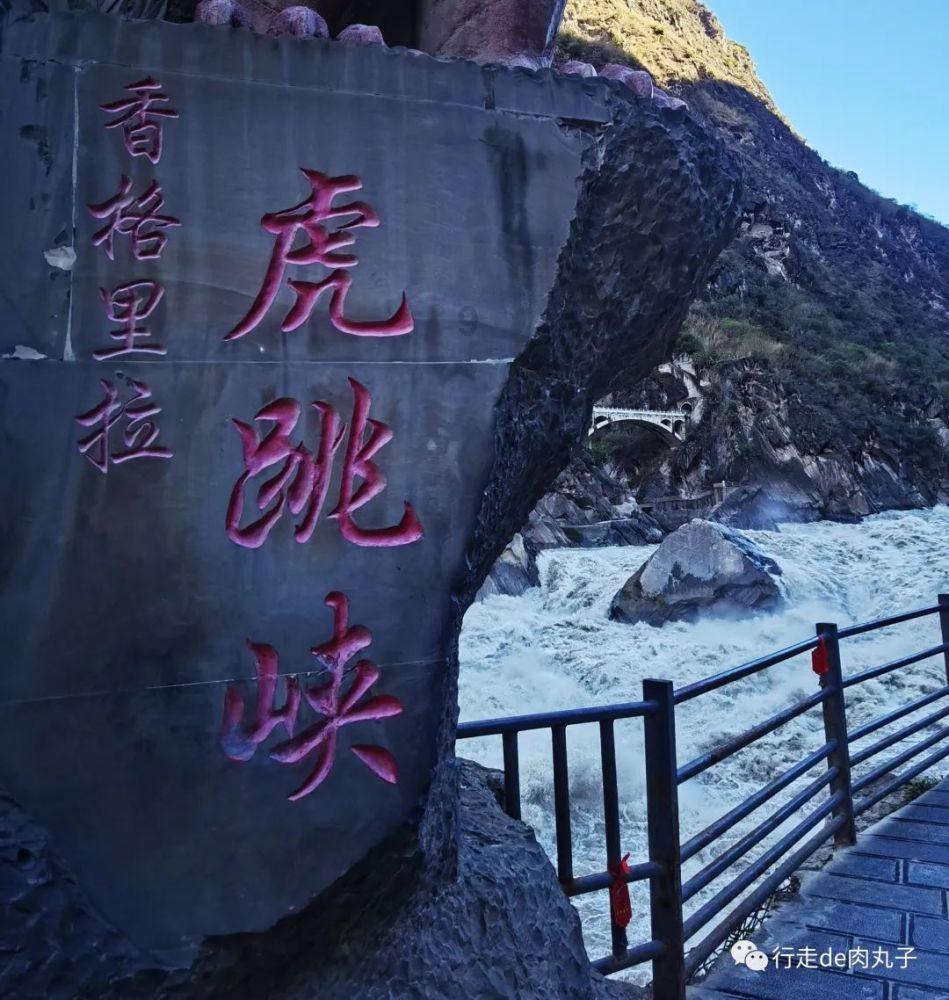 这道“必考题”答得如何?苏芭《天鹅湖》今晚申城首演