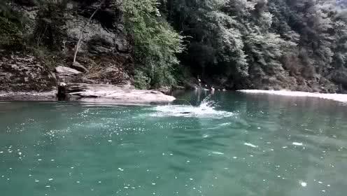 春雨直播app