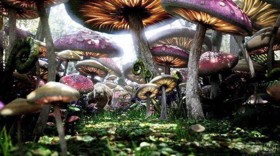 再见泰山!崔康熙爱徒无缘加盟,原因曝光,最新下家浮出水面